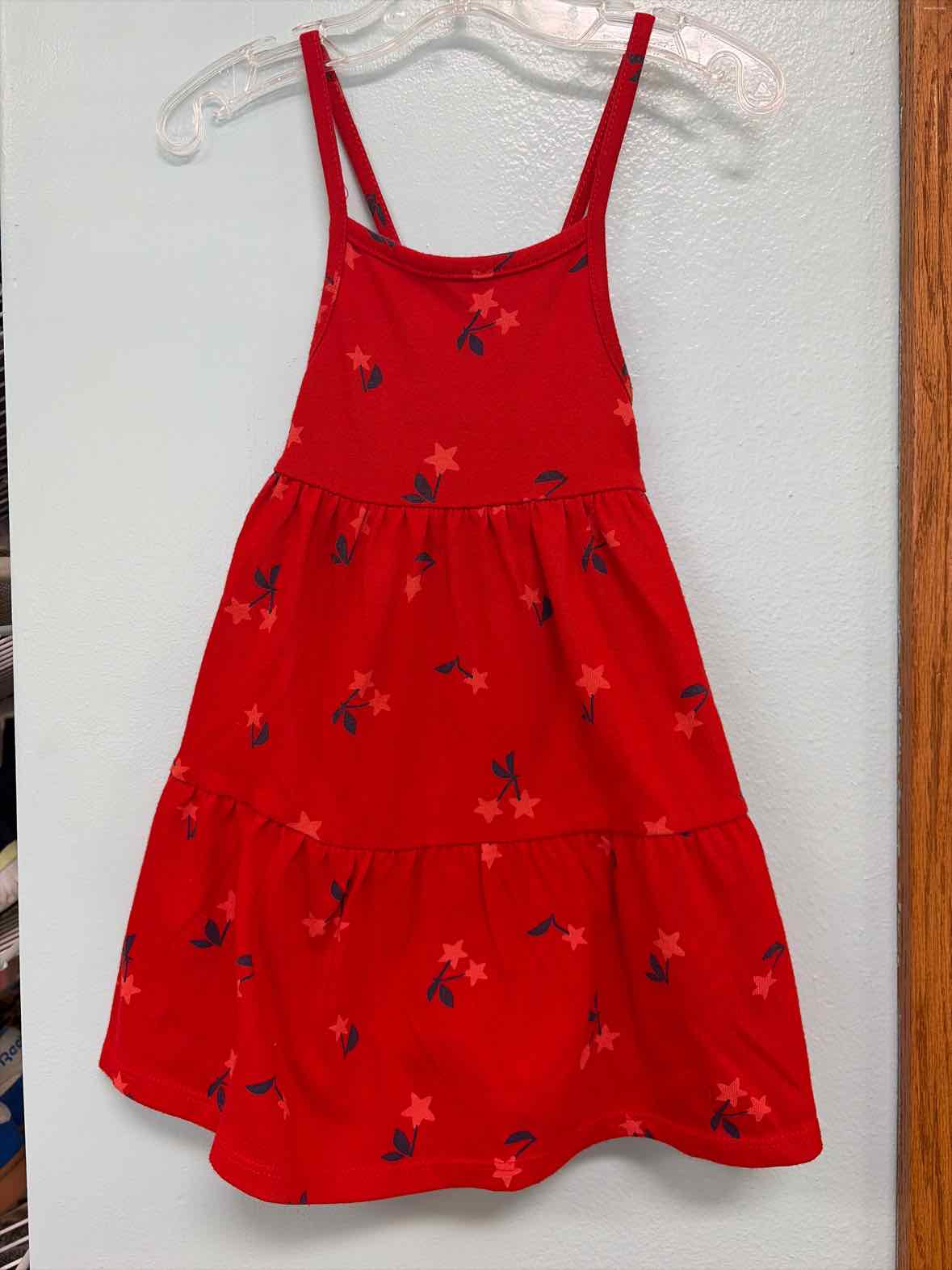 3T Cat Jack Dress