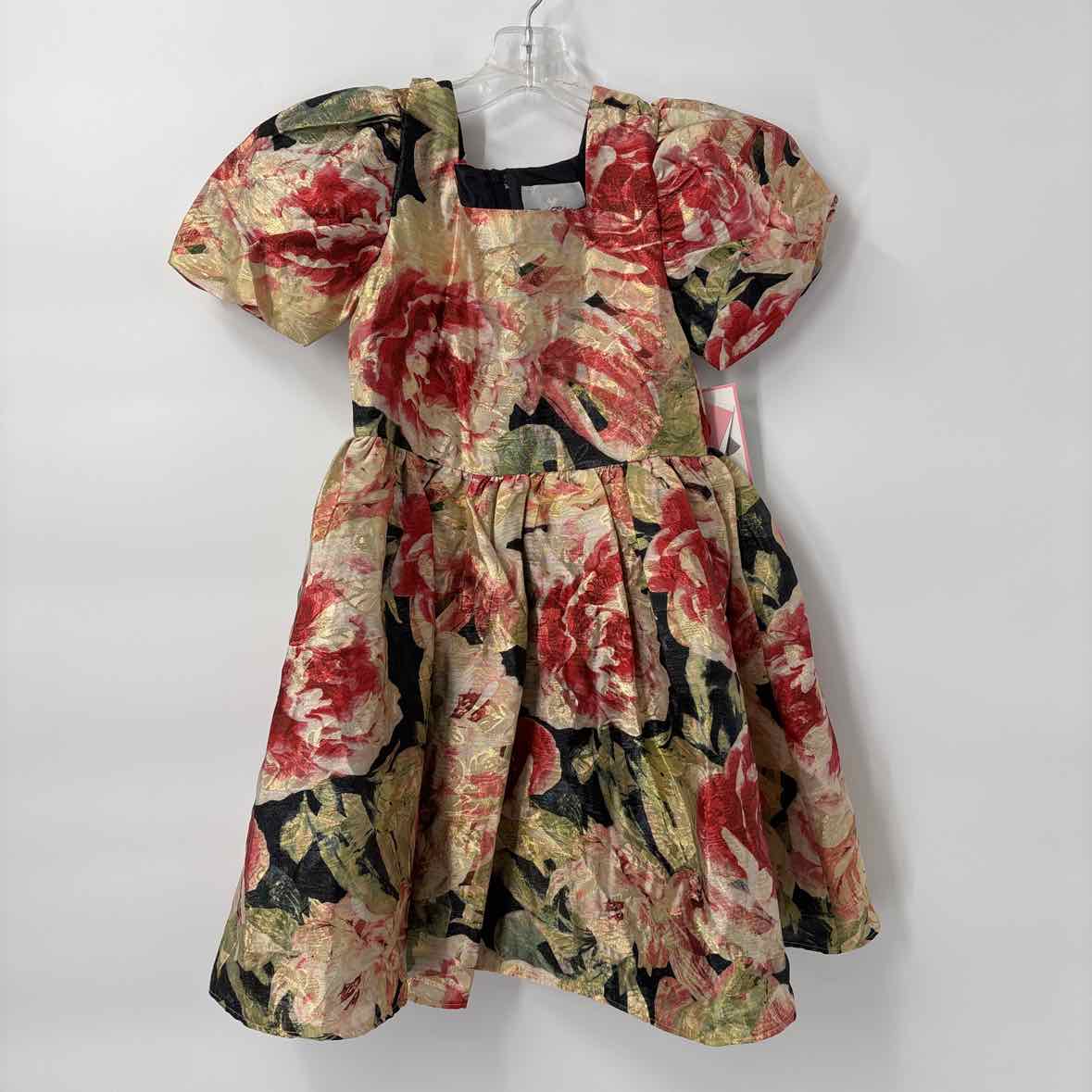 6X NEW Rare Editions Dress