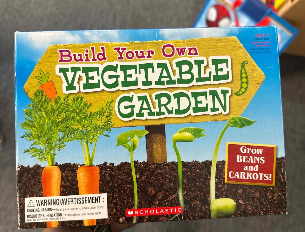 NEW Scholastic Grow Your Own Vegetable Garden Crafts