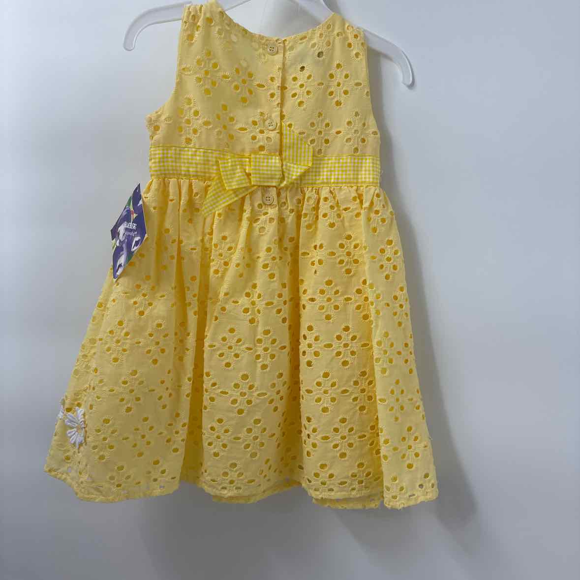 24 Months NEW Blueberi Dress