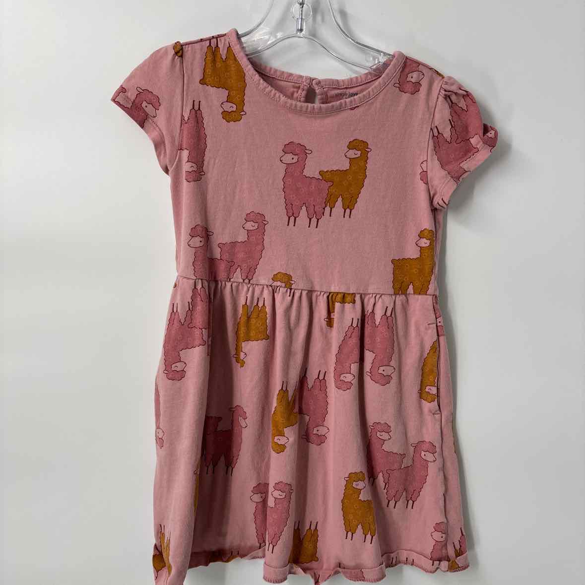 5T SimpleJoys Dress