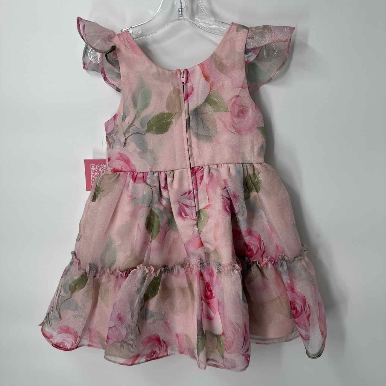 4T NEW Rare Editions Dress