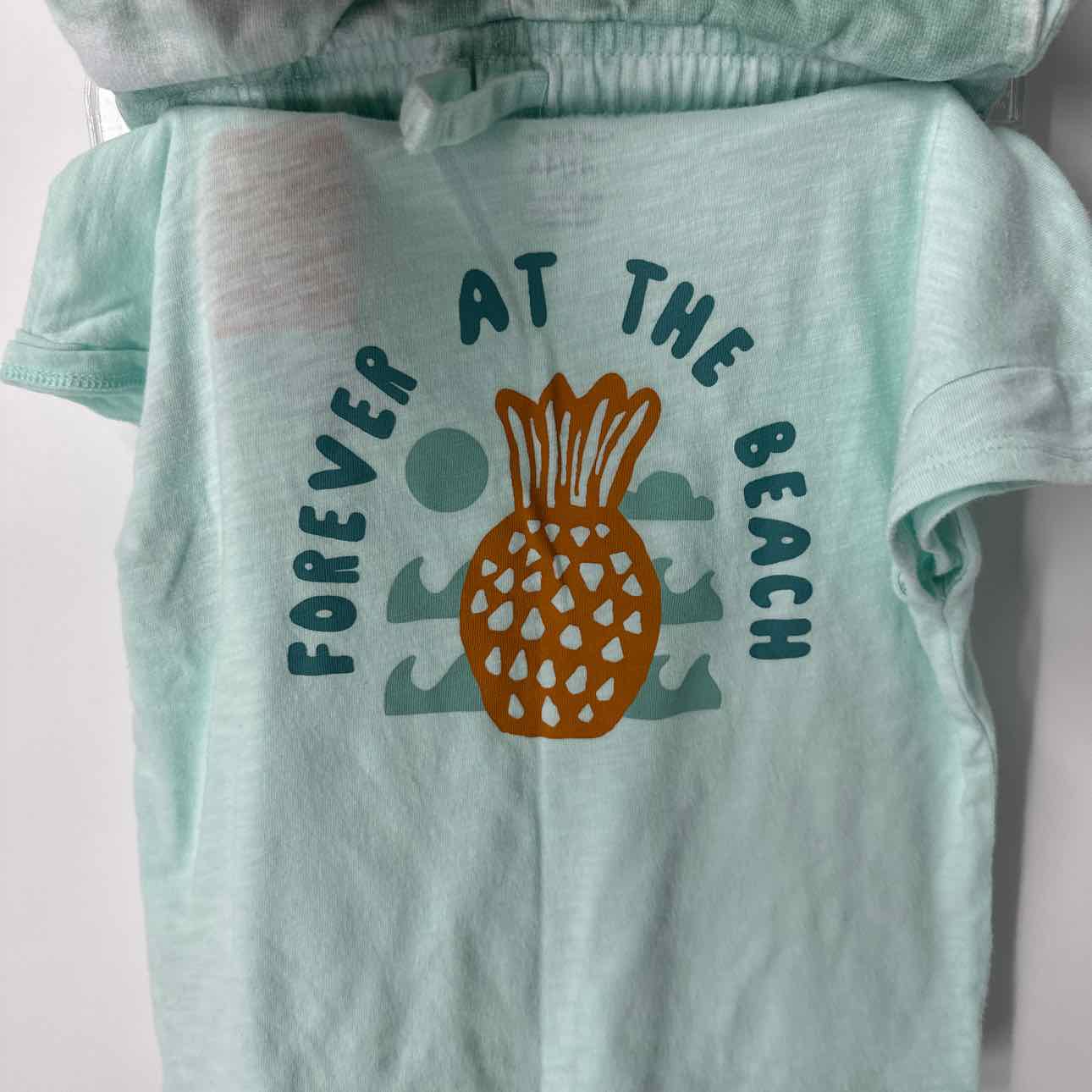 4T Carters 2pc Outfit