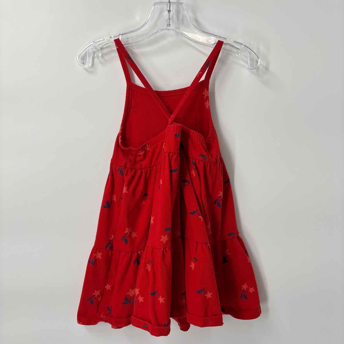 3T Cat Jack Dress
