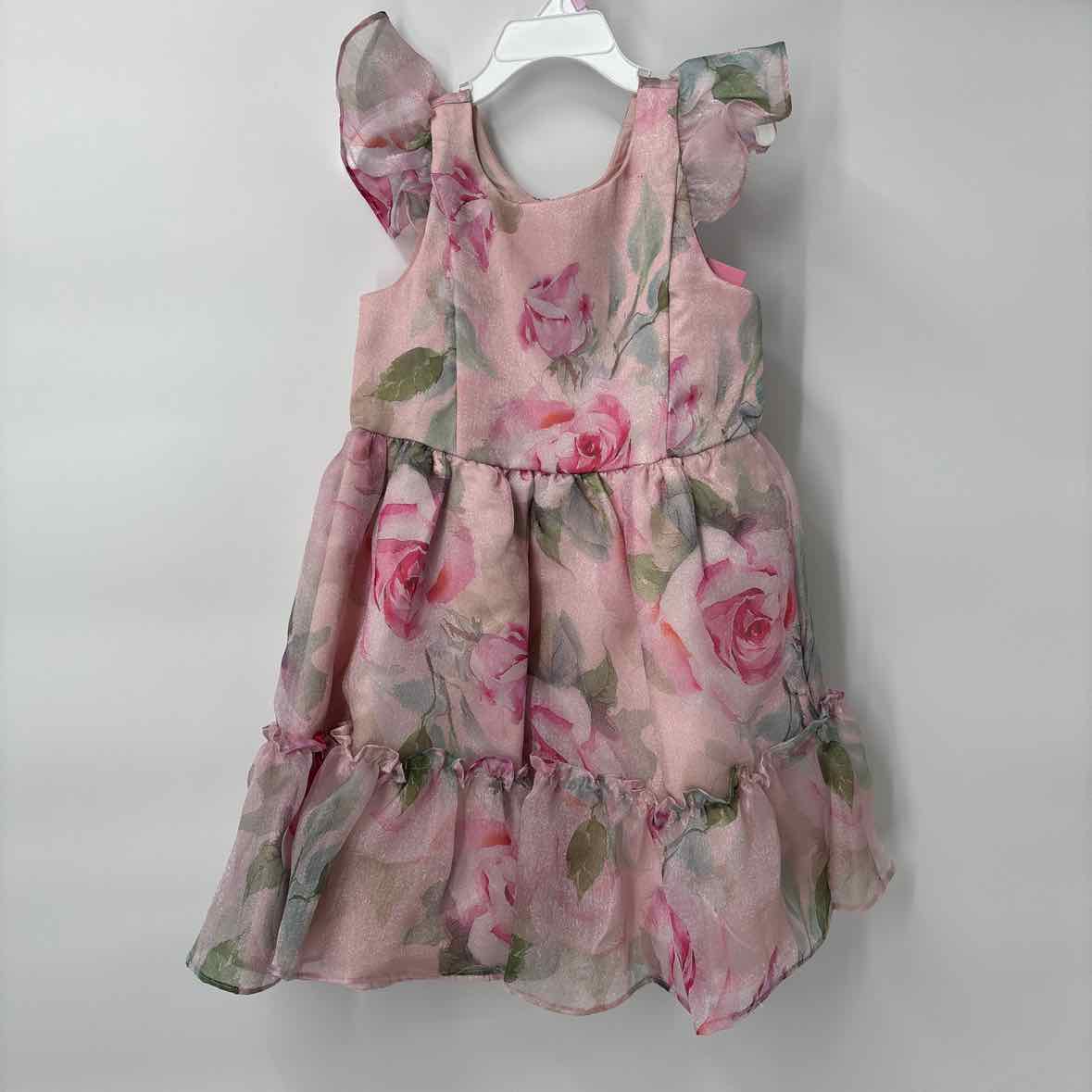 6 NEW Rare Editions Dress
