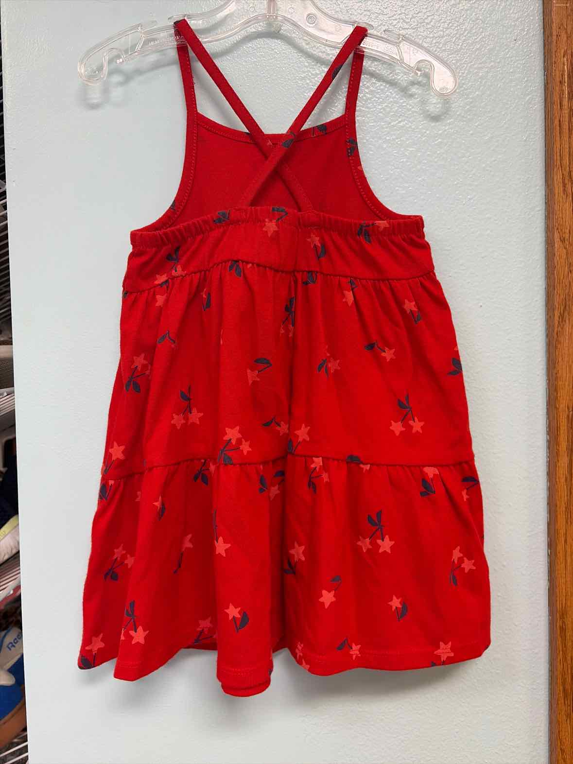 3T Cat Jack Dress