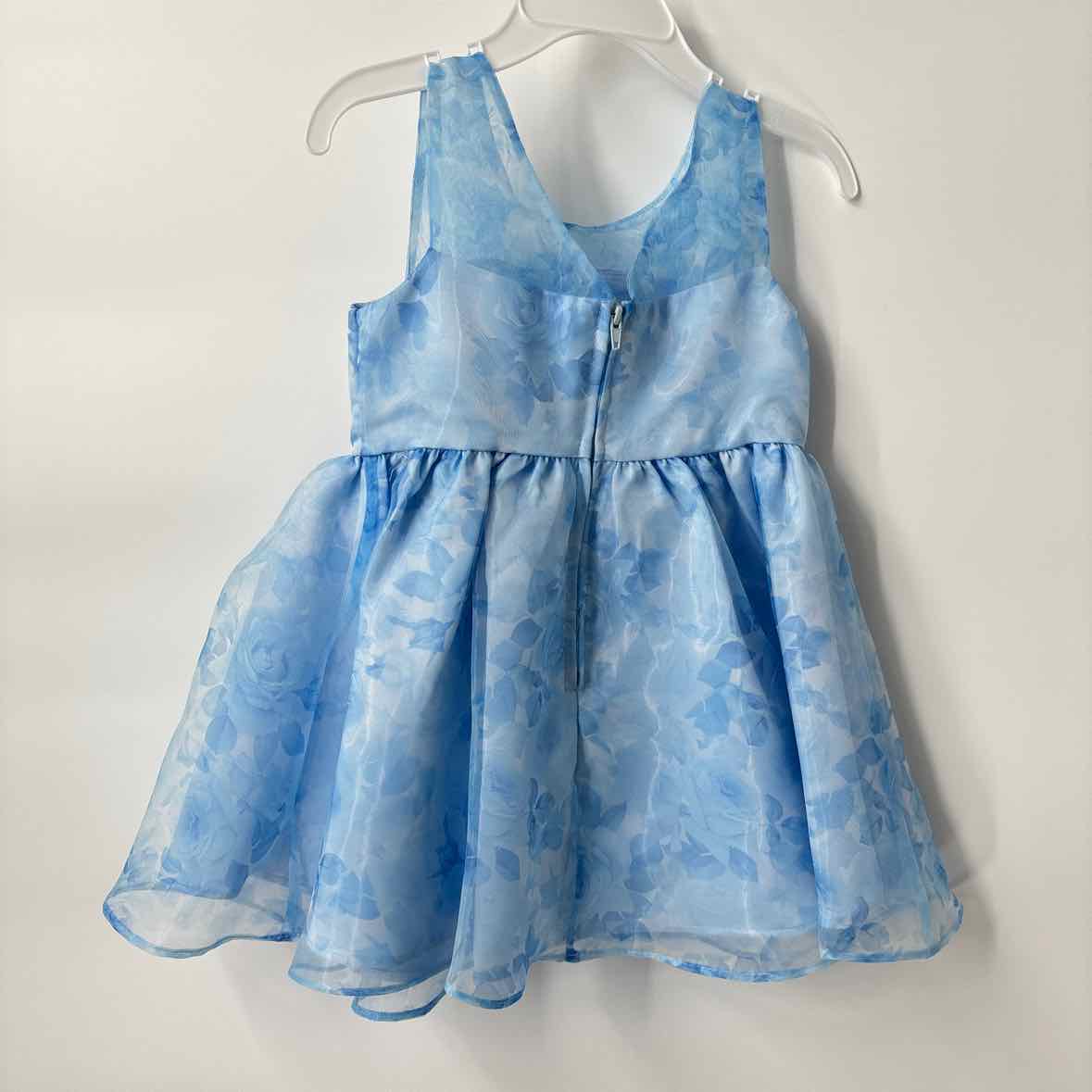 2T NEW Rare Editions Dress