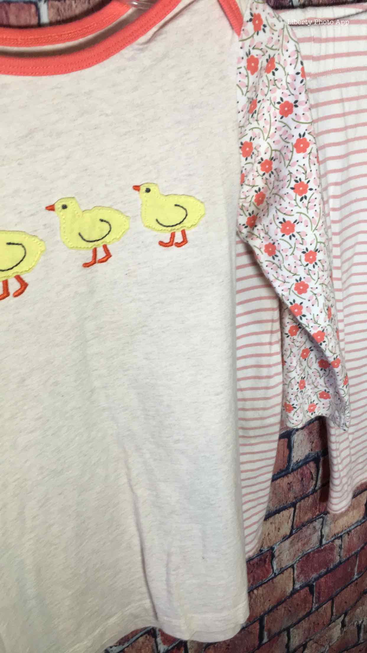 2-3 Baby Boden 2 piece