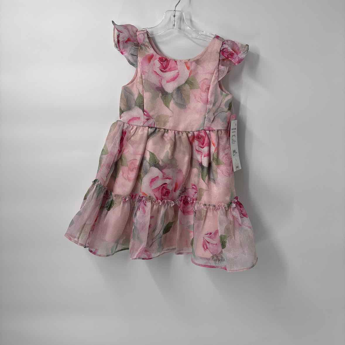 5 NEW Rare Editions Dress