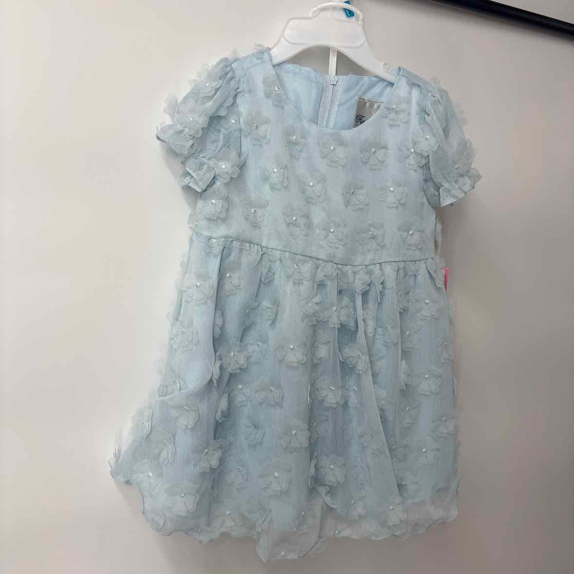 24 Months NEW Rare Editions Dress