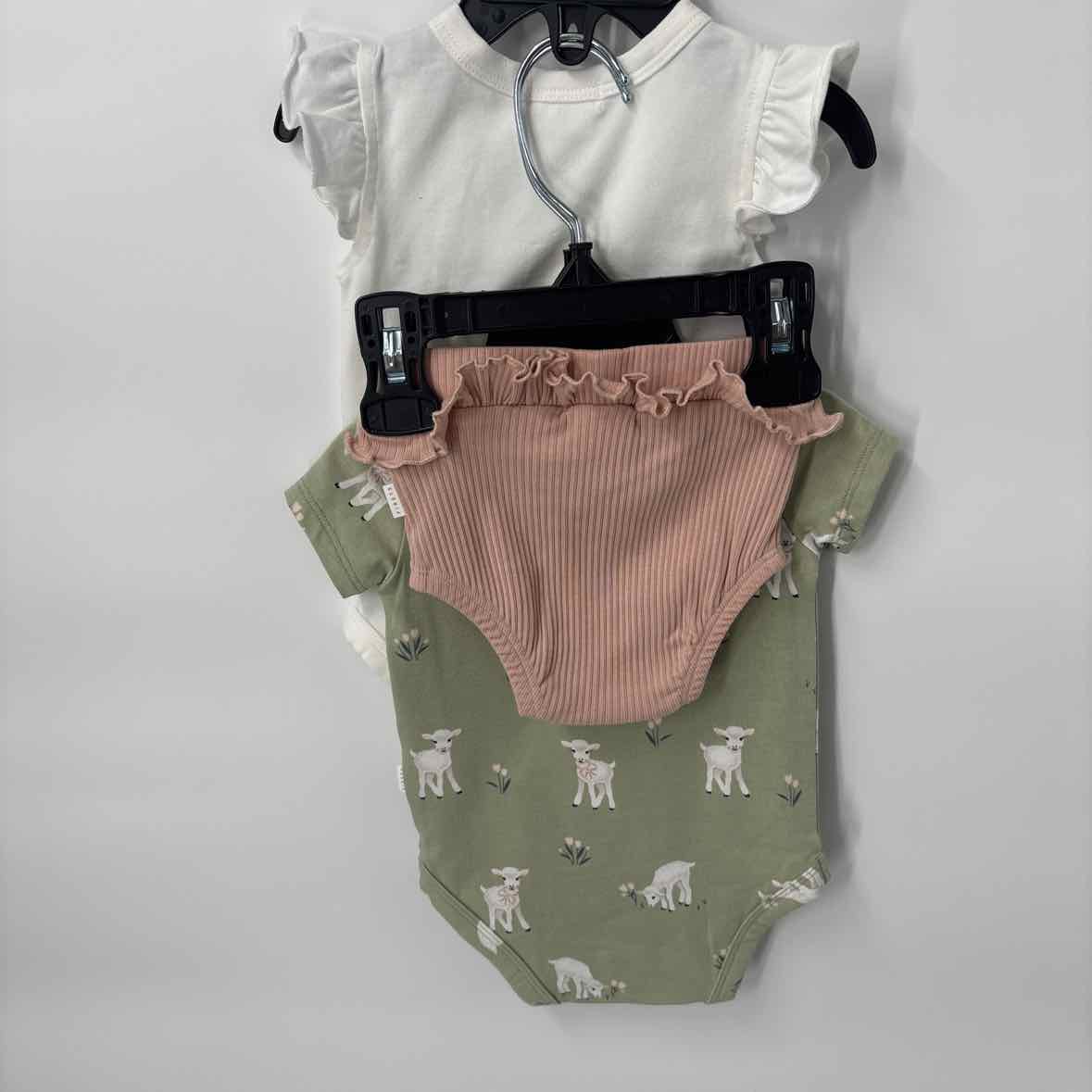 3 Months NEW Firsts by Petit Lem 3pc Outfit