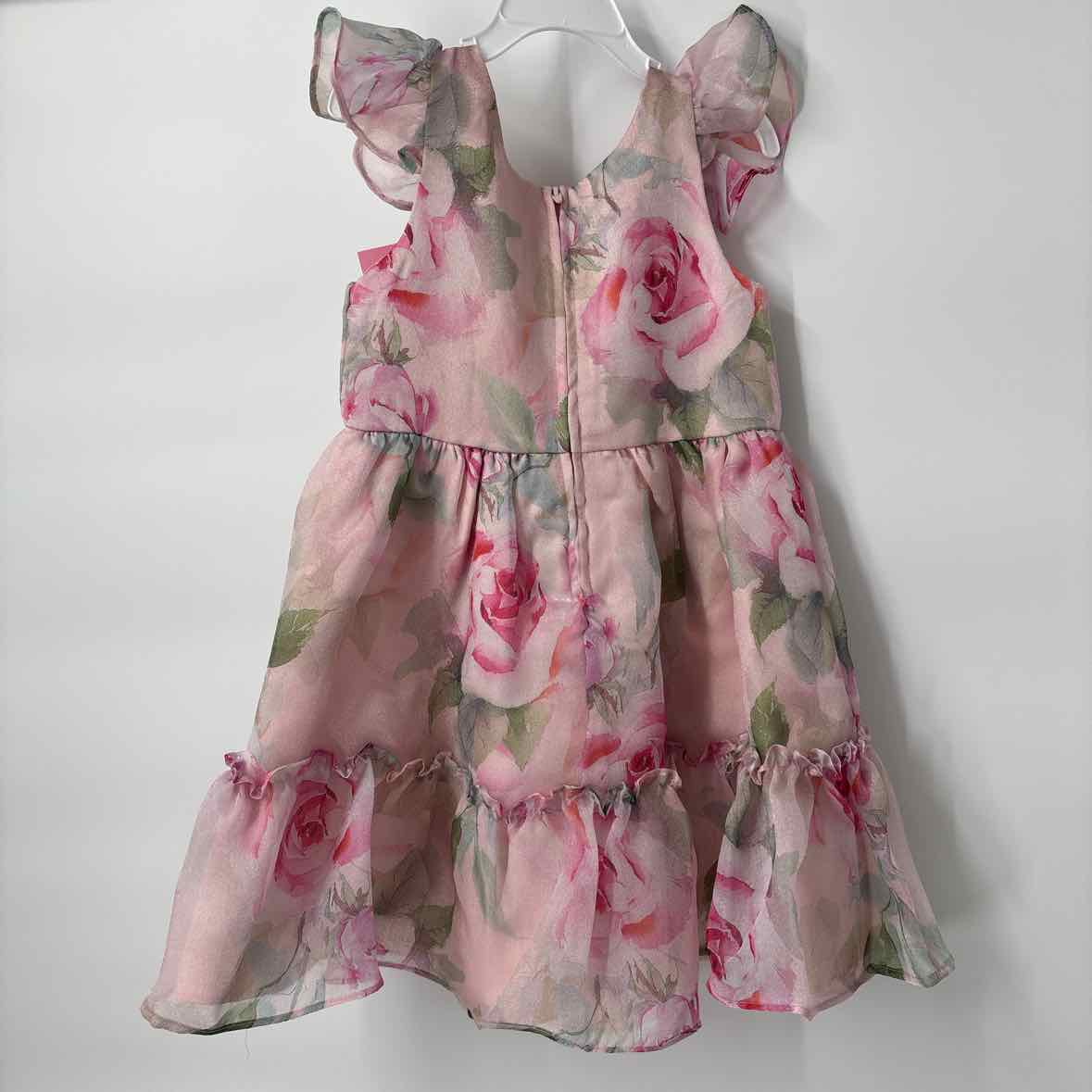 6 NEW Rare Editions Dress