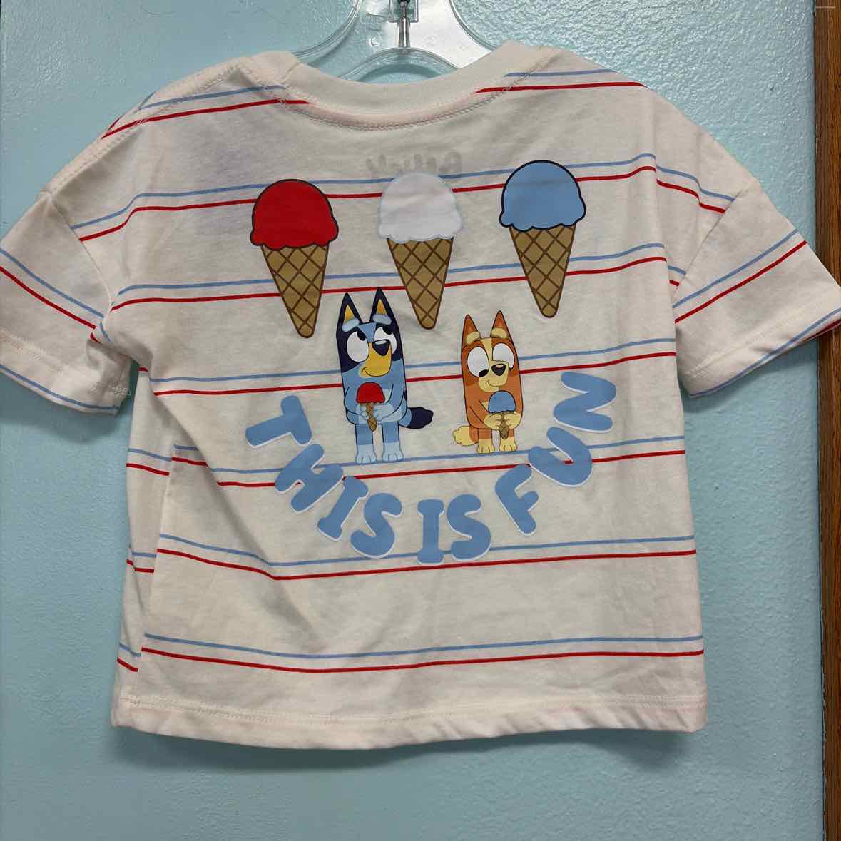 12 Months Bluey Shirt