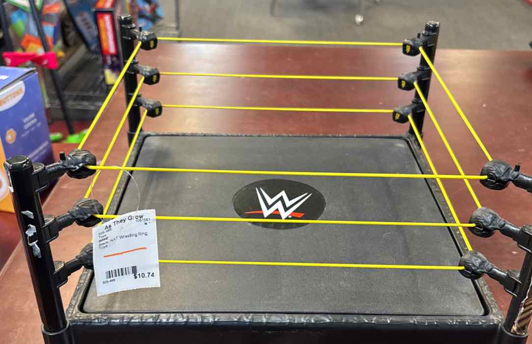 WWE NXT Wrestling Ring Toys