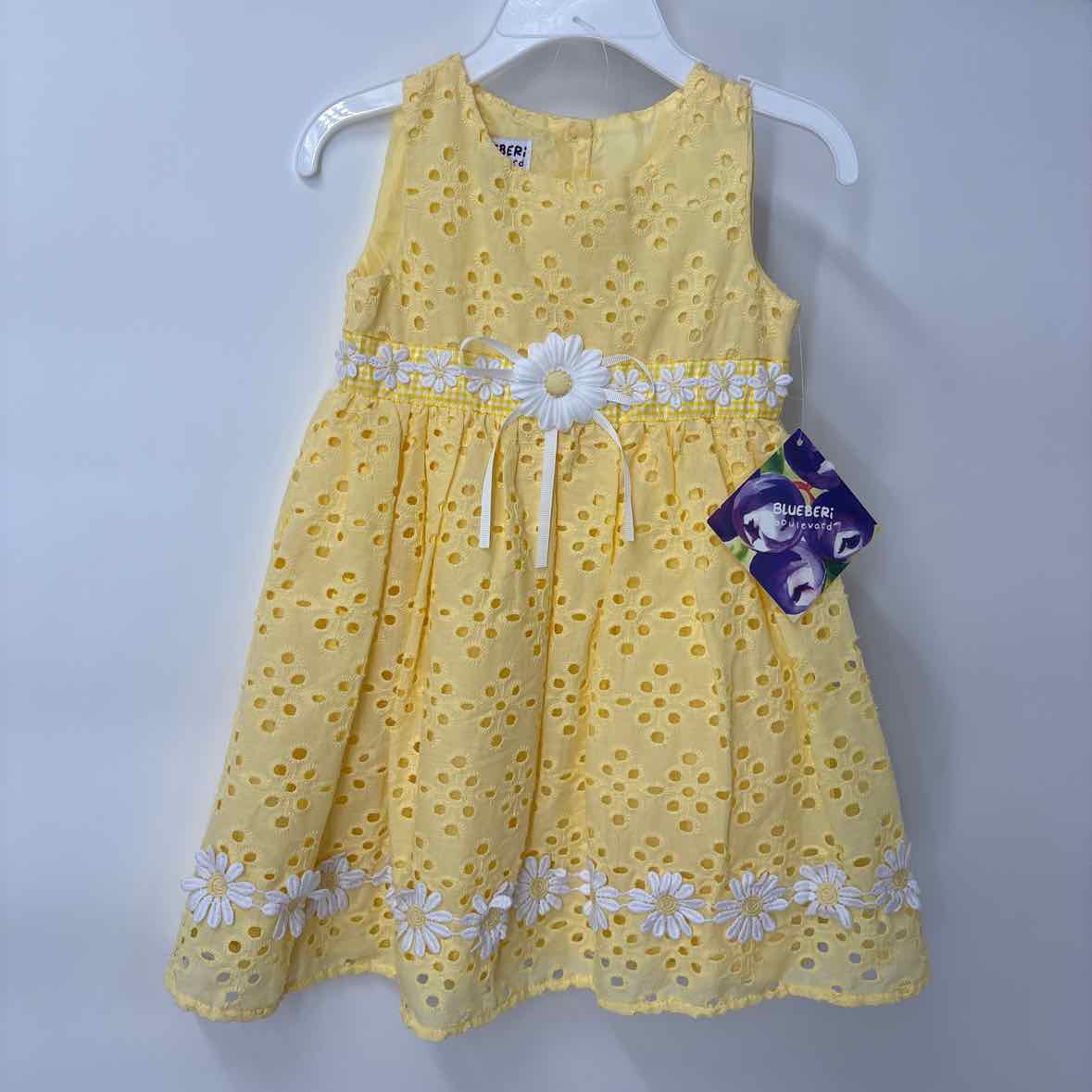 24 Months NEW Blueberi Dress