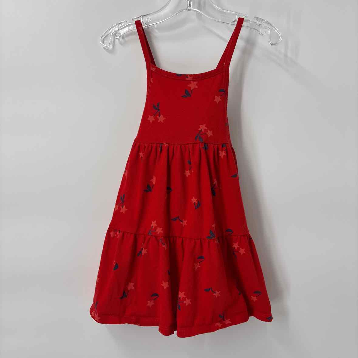 3T Cat Jack Dress