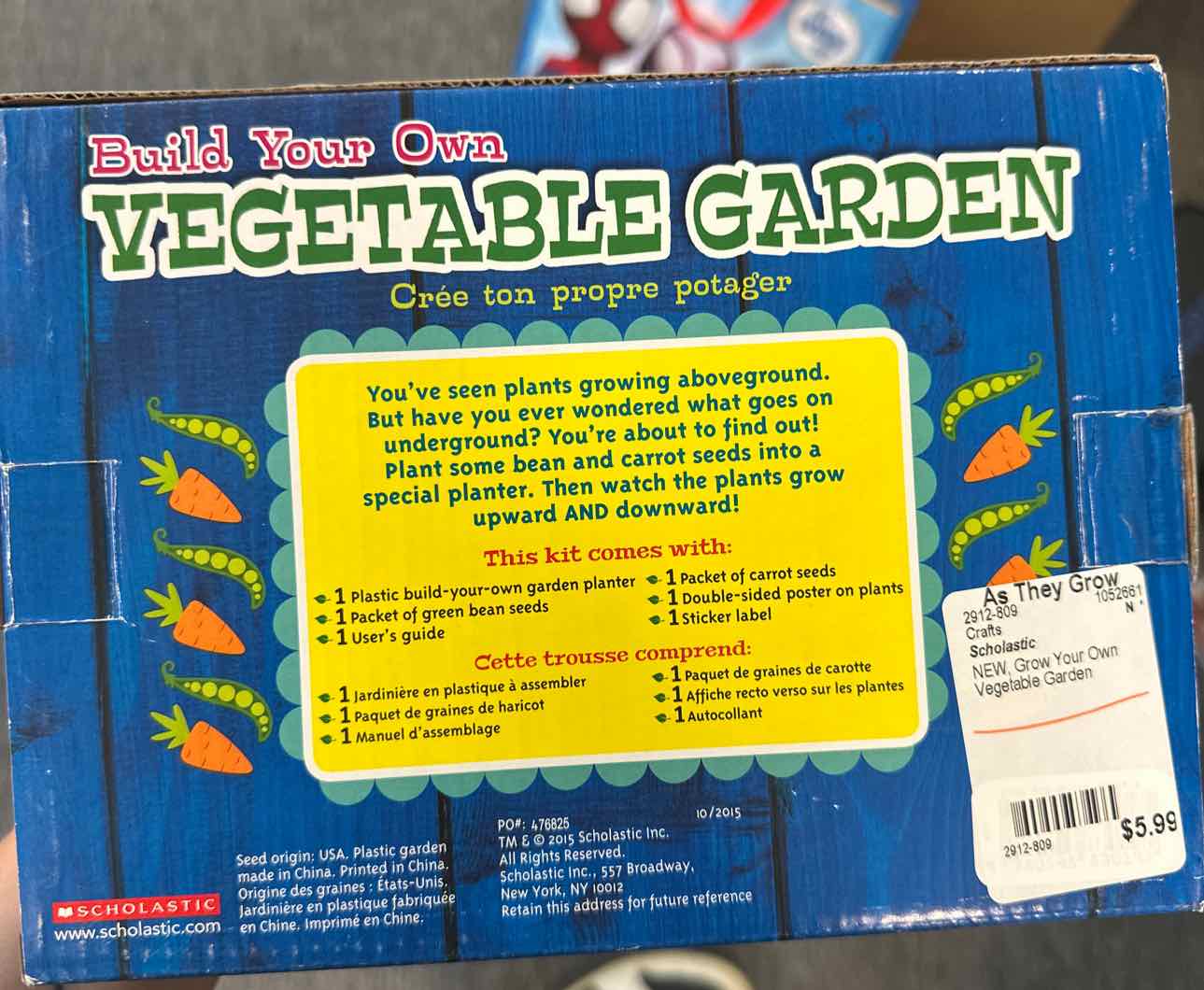 NEW Scholastic Grow Your Own Vegetable Garden Crafts