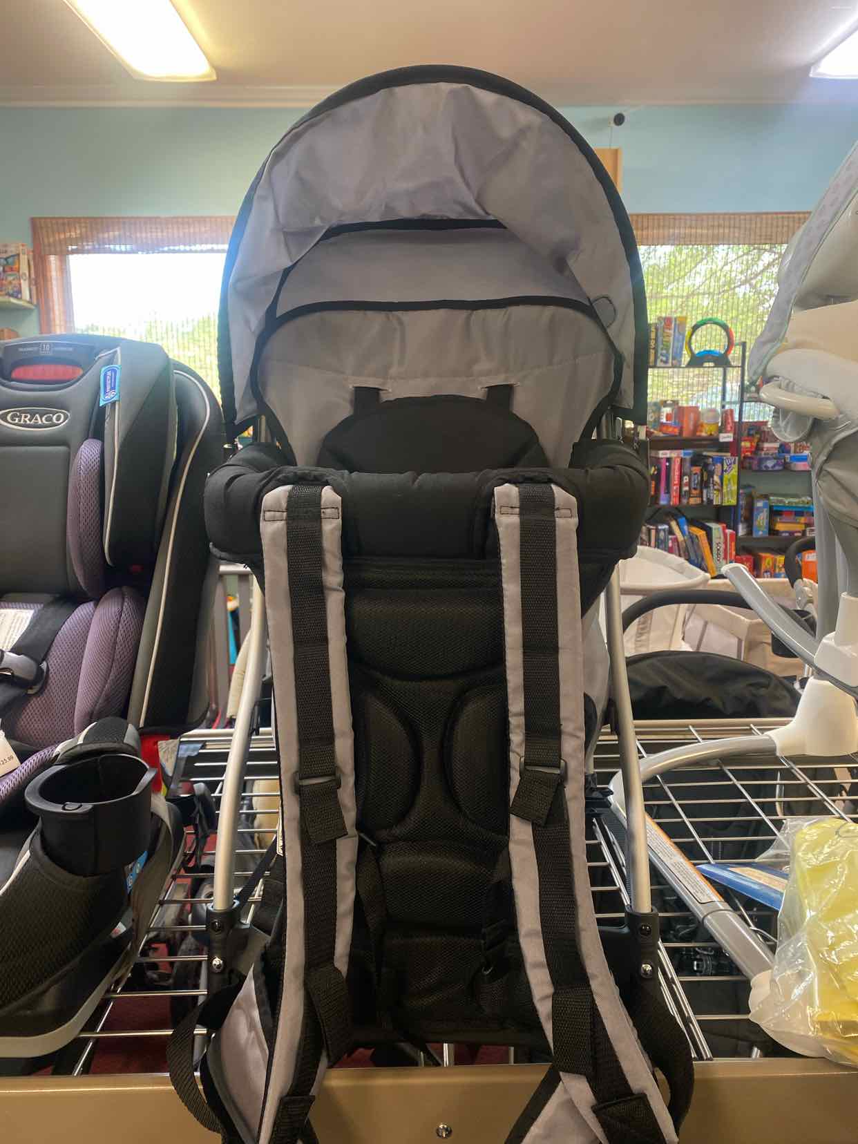 Hiking Carrier Chicco Misc Items