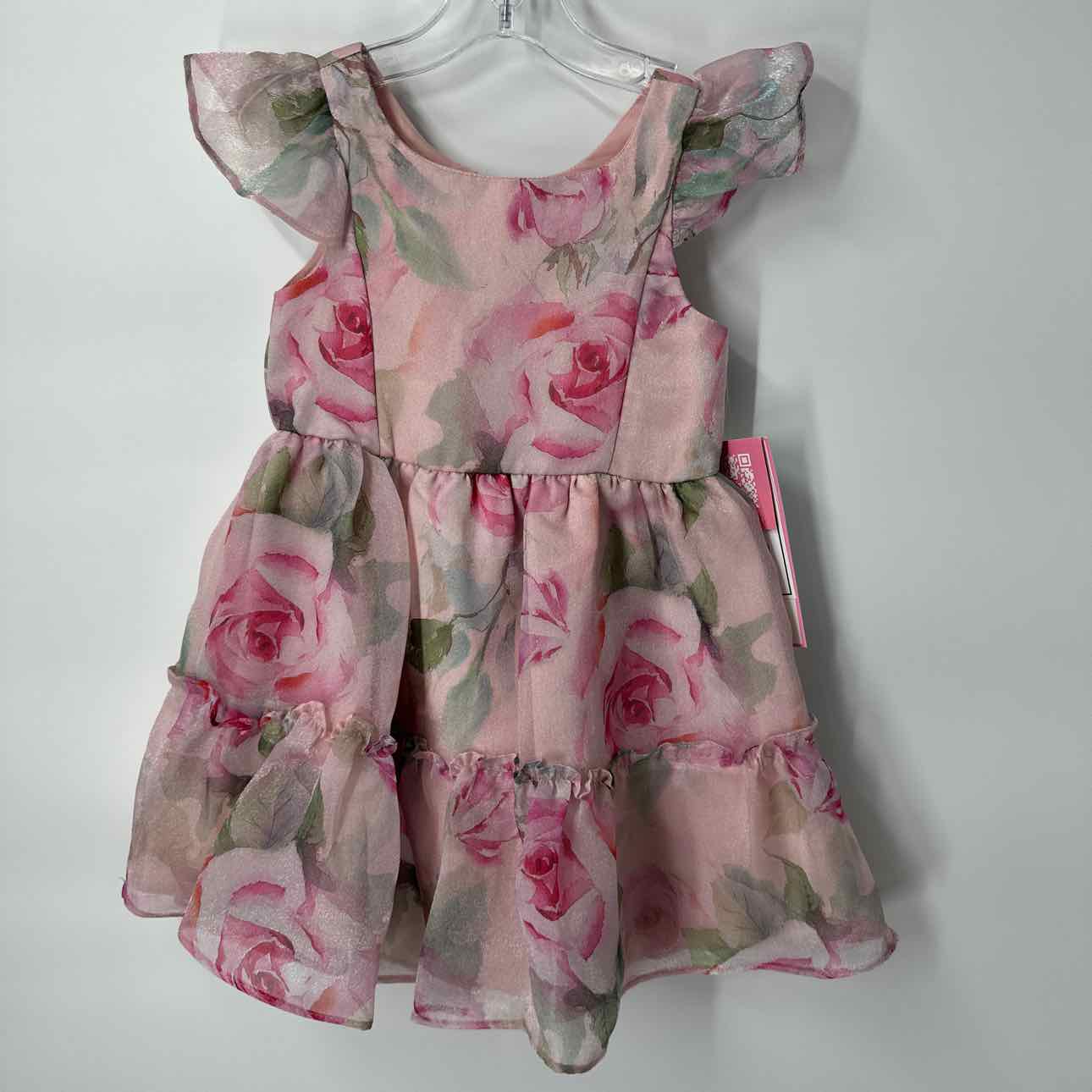4T NEW Rare Editions Dress