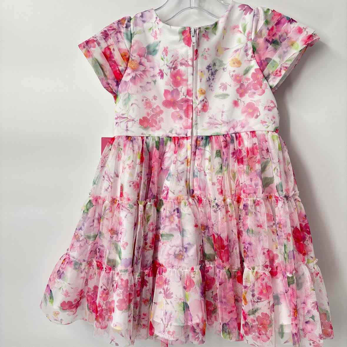 2T NEW Rare Editions Dress