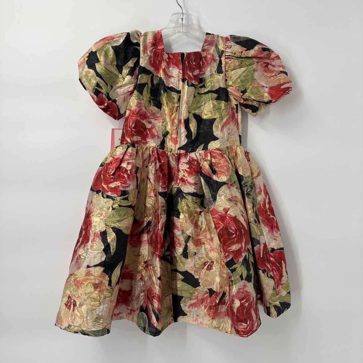 6X NEW Rare Editions Dress